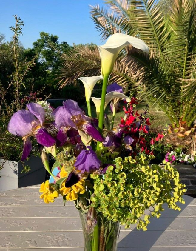 Blumenstrauß aus dem Garten von Marc & Fred, bei Albi