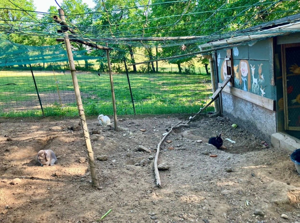 Die Kaninchen in ihrem Gehege, Gästezimmer in Arthès